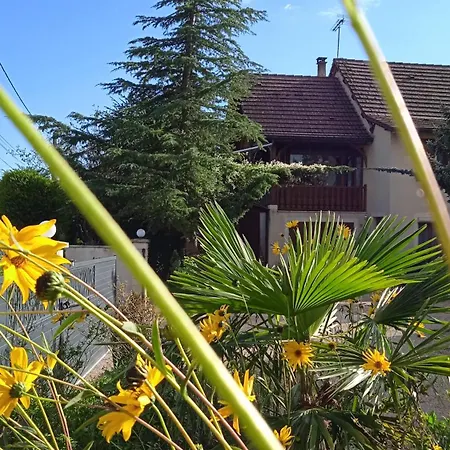Gite Des Cedres Ferienwohnung A Ameugny Taize Cluny Exterior foto