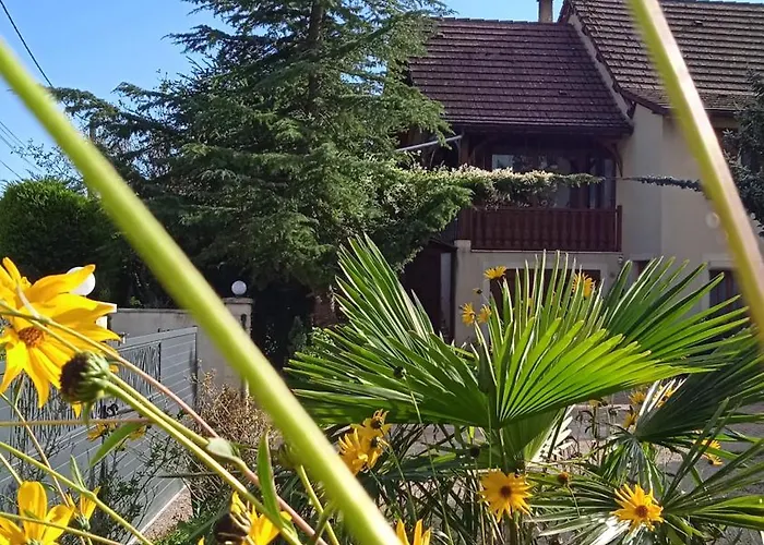 Gite Des Cedres Ferienwohnung A Ameugny Taize Cluny